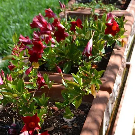 Ethnic Chic Resort Bisceglie